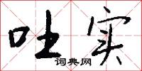 吐实怎么写好看