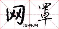 网罩怎么写好看