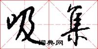 吸集怎么写好看