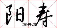 阳寿怎么写好看