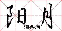 阳月怎么写好看