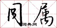 同属怎么写好看