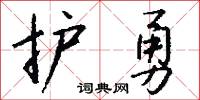 护勇怎么写好看