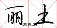 丽土怎么写好看