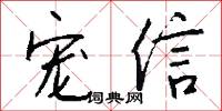 宠信怎么写好看