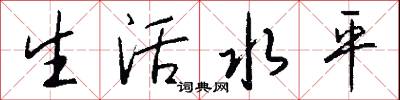 生活水平怎么写好看