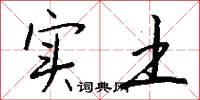 实土怎么写好看