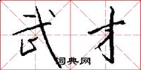 武才怎么写好看