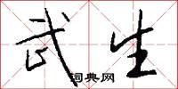 武生怎么写好看