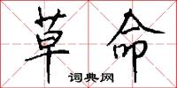 草命怎么写好看