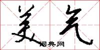 美气怎么写好看