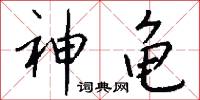 神龟怎么写好看