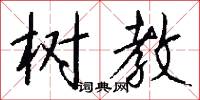 树教怎么写好看