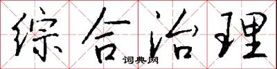 综合治理怎么写好看