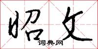 昭文怎么写好看