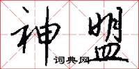 神盟怎么写好看