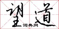 望道怎么写好看