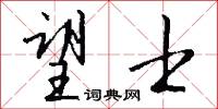 望士怎么写好看