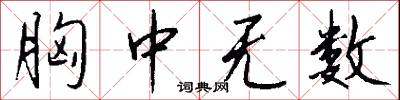 胸中无数怎么写好看