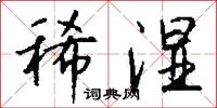 稀湿怎么写好看