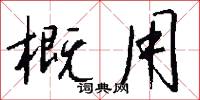 概用怎么写好看