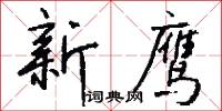 新鹰怎么写好看