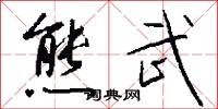 熊武怎么写好看