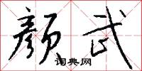 颜武怎么写好看