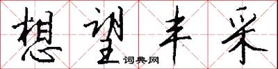 想望丰采怎么写好看