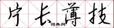 片长薄技怎么写好看