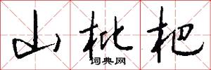 山枇杷怎么写好看