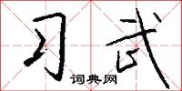 习武怎么写好看