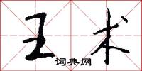 王术怎么写好看