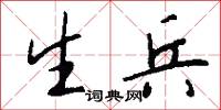 生兵怎么写好看