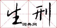 生刑怎么写好看