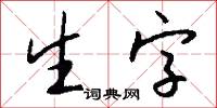 生字怎么写好看