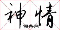 神情怎么写好看