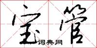 宝管怎么写好看