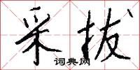 采拔怎么写好看