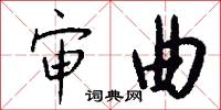 审曲怎么写好看