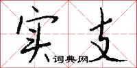 实支怎么写好看