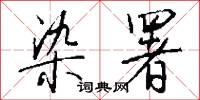 染署怎么写好看