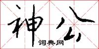 神公怎么写好看