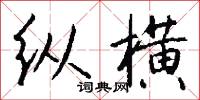 纵横怎么写好看