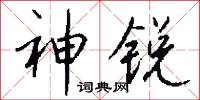 神锐怎么写好看