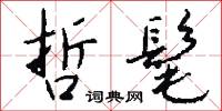 哲髦怎么写好看