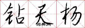 钻天杨怎么写好看