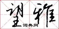 望雅怎么写好看