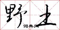 野土怎么写好看