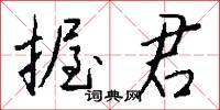 握君怎么写好看